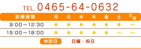 TEL 0465-64-0632 休診日 日曜・祝日