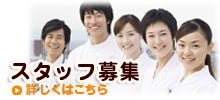 スタッフ募集